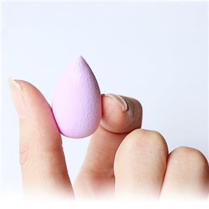 EC-10 Make up sponge