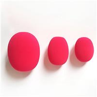 EC-17  Make up sponge