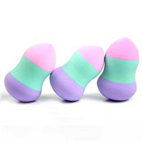 EC-21  Make up sponge