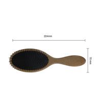 EC-CPHB- 02      COCONUT PLANT HAIR BRUSH